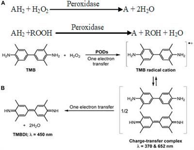 Recent Trends in Composite Nanozymes and Their Pro-Oxidative Role in Therapeutics